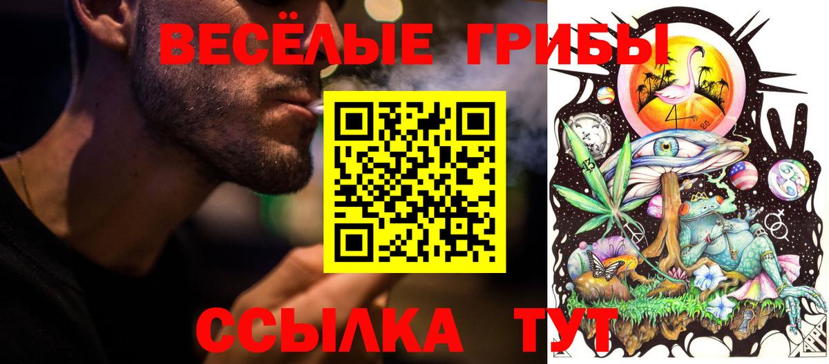 Галлюциногенные грибы ЛСД  Псилоцибиновые грибы Magic Shrooms  Тайшет  Вход с VPN 